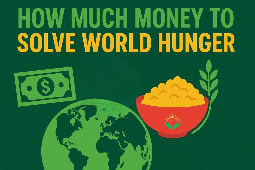 How Much Money to Solve World Hunger