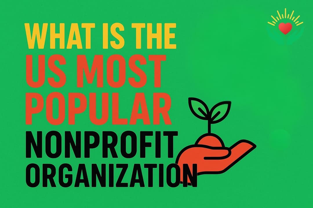 What Is the US Most Popular Nonprofit Organization